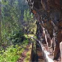 Levada Nova da Calheta | Peggy Dion