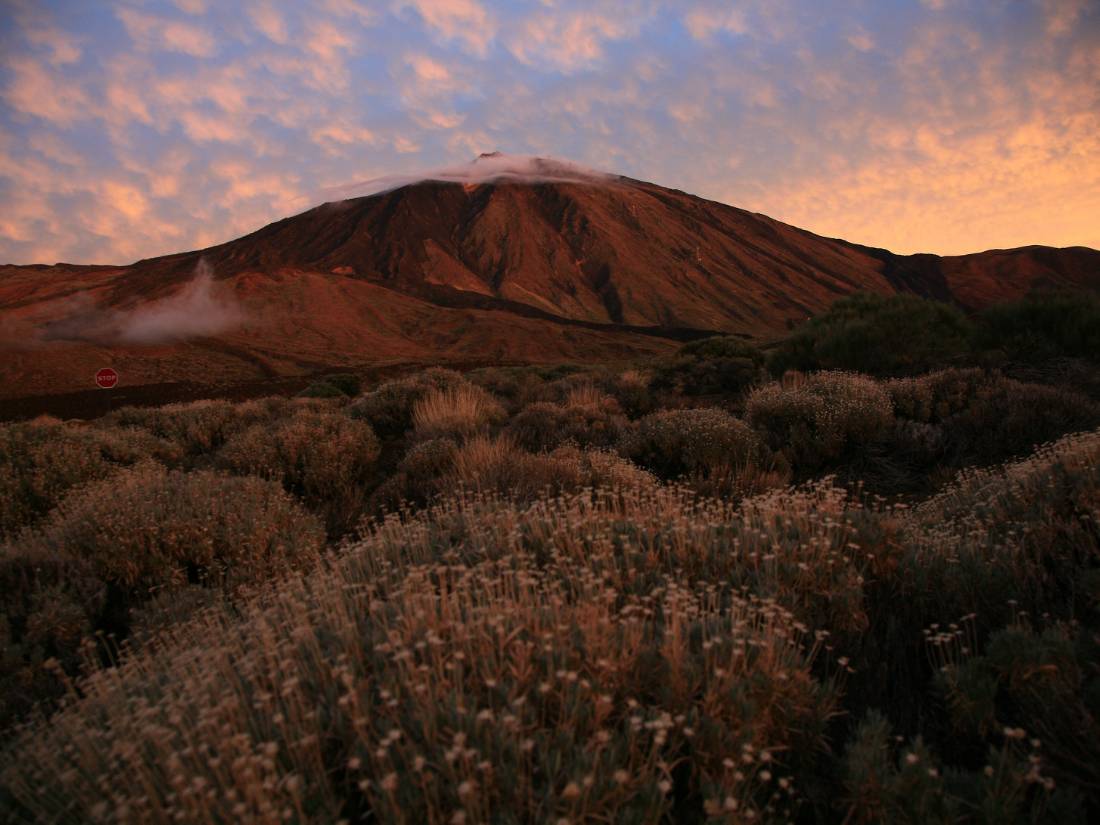 Good Morning on Mt Teide |  <i>John Millen</i>