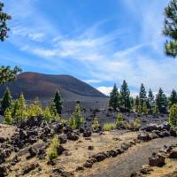 Hike down from Chinyero Volcano in Tenerife | Cornelia Schneider-Frank