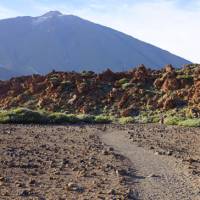 Hike through Teide National Park | Hans