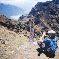 A hiker takes a break on the trails of La Palma