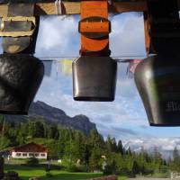 Cowbells in the Swiss Alps | Go hiking in the Alps