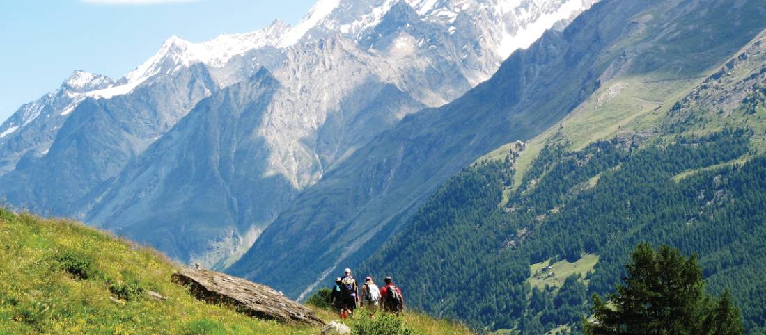 Walkers Britain | Hiking in Switzerland's Bernese Oberland: Trave