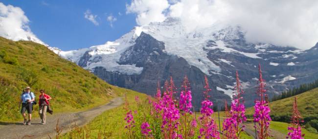 Hiking along the Alpine Pass Route | Andrew Bain