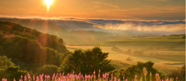 Stunning Isle of Wight scenery taken in from Ventnor Down | visitisleofwight.co.uk