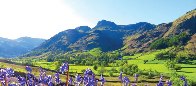 Bluebells and the pikes, Great Langdale | John Millen