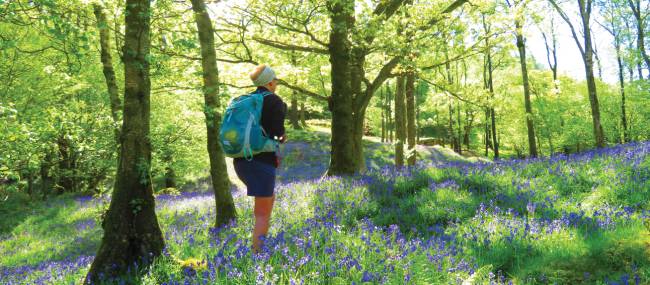 Cumbria Way, Lakes District | John Millen