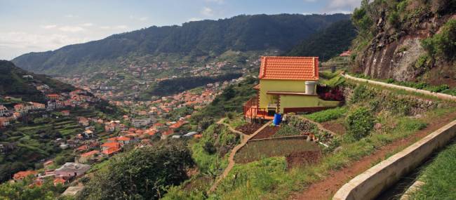 Levada do Canical, near Marocos | John Millen